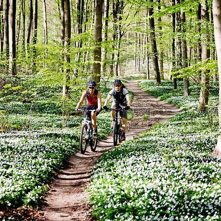Vakantiehuis In Een Prachtige Bosrijke Omgeving In Twente! Bornerbroek Exterior foto