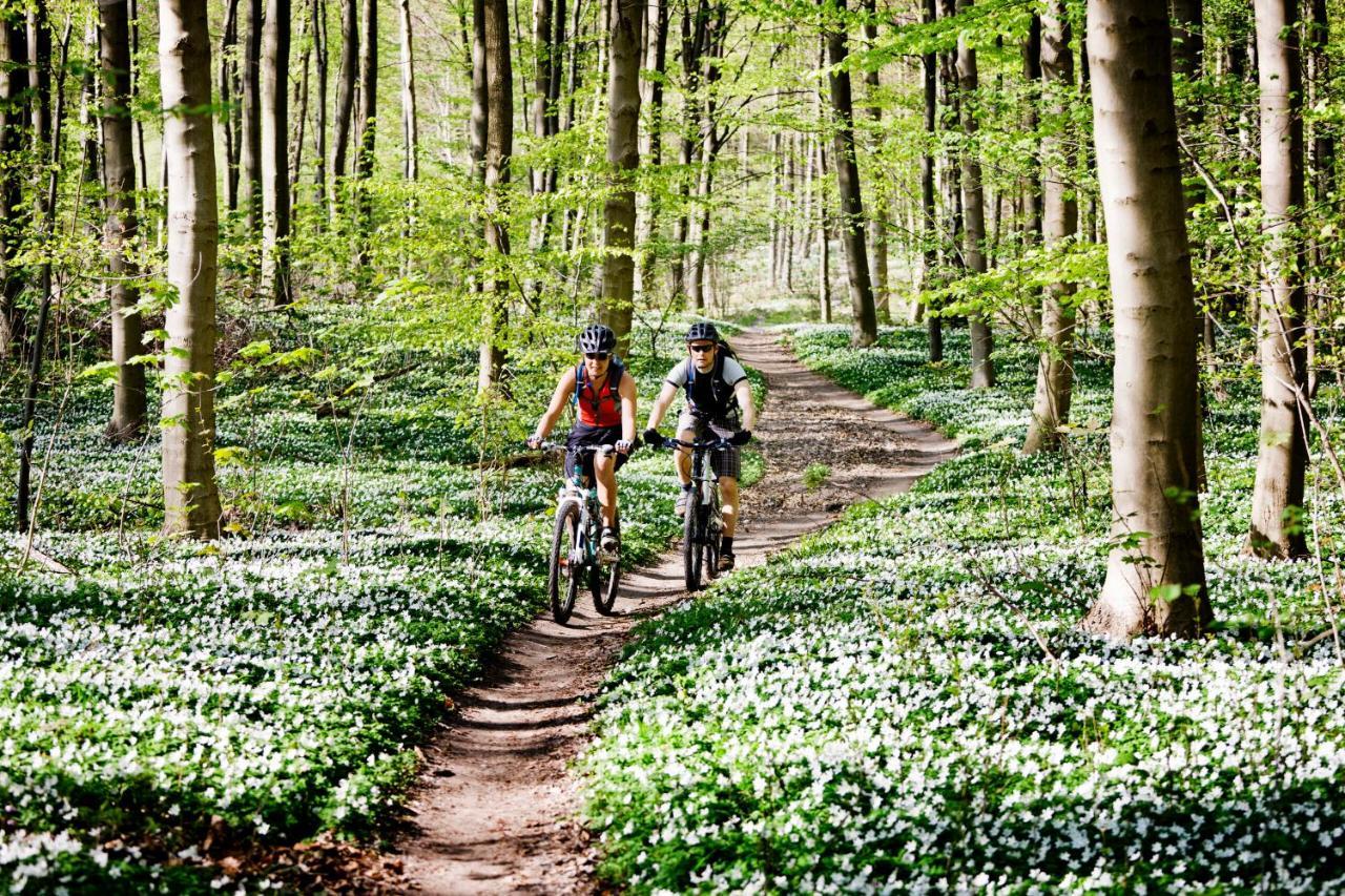 Vakantiehuis In Een Prachtige Bosrijke Omgeving In Twente! Bornerbroek Exterior foto